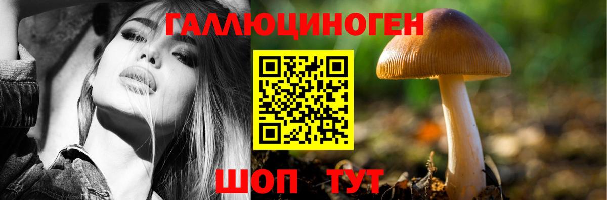 купить наркотики сайты  Вход с VPN  Галлюциногенные грибы Psilocybe  Слободской  Галлюциногенные грибы мицелий 